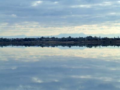 Прикрепленное изображение: DSCF5925.jpg